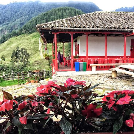 Hostal La Laguna Villamaría 外观 照片